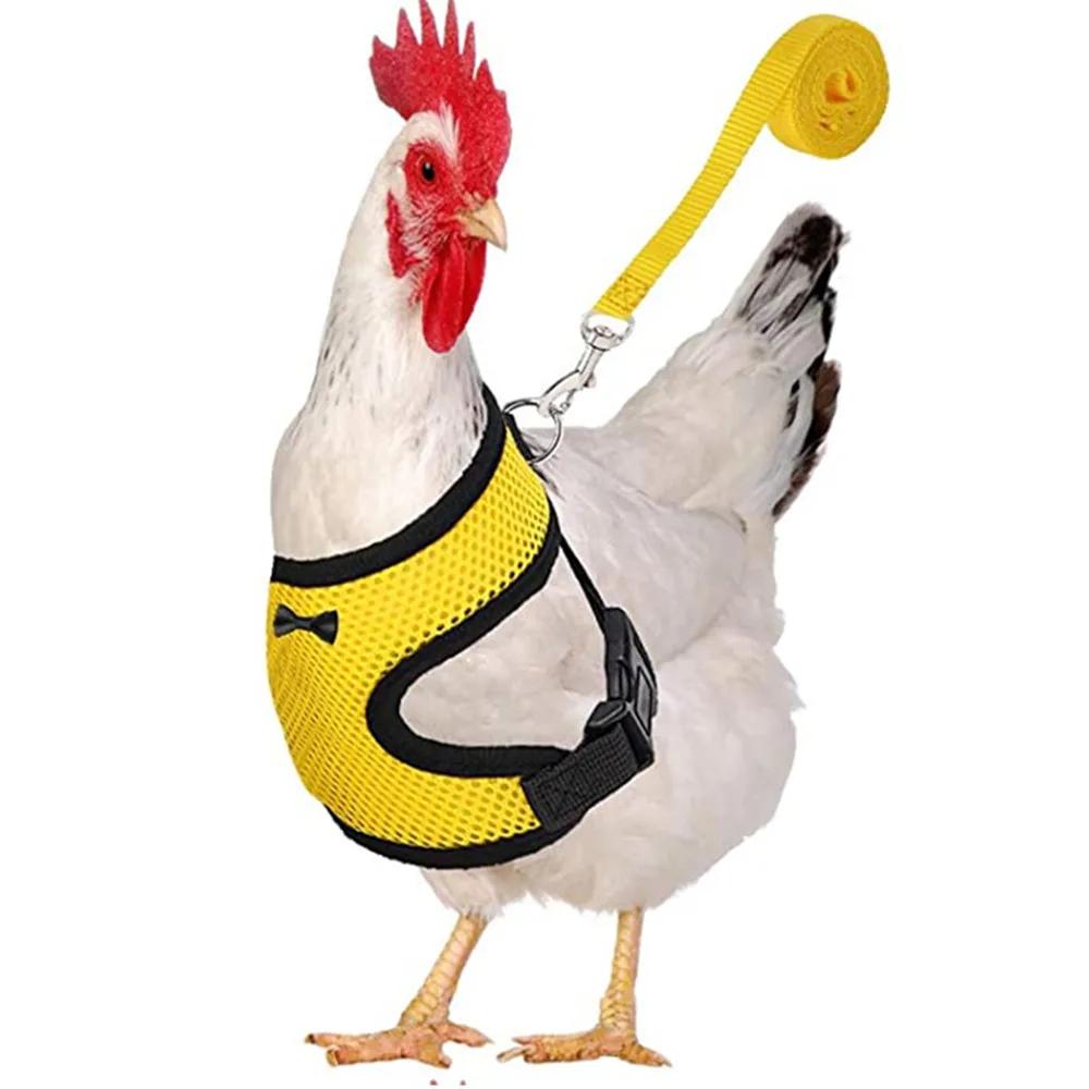Fashion Chicken Duck Vest Harness, Pet Hen Belt with Matching Collar Bow, Breathable Comfortable Poultry Supplies
