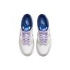 Nike Dunk Low GS Khaki Blue Pink Детские кроссовки Коричнево-светло-коричнево-коричневый Белый FB9109-103