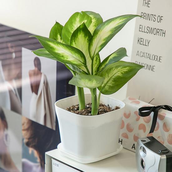 Цветочные горшки Прочные антидеформационные утолщенные легкие пластиковые сочные растения