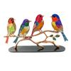 Stained Acrylic Birds On Branch Desktop Ornaments, Double Sided Multicolor Style Birds Craft Statue Desktop Ornaments