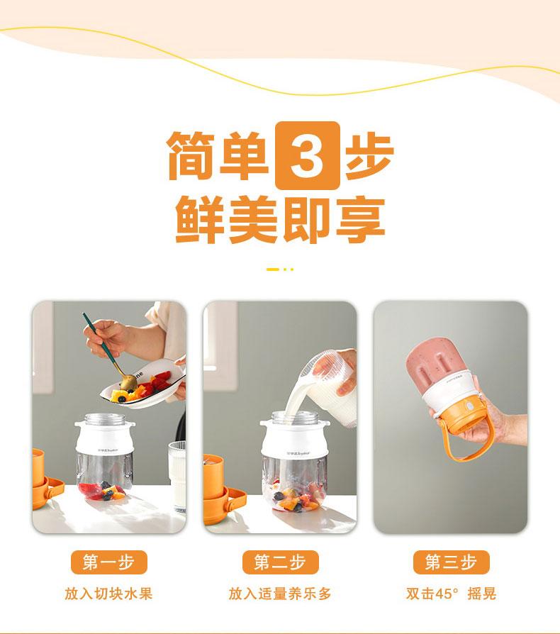 Rongshida Portable Juicer Cup