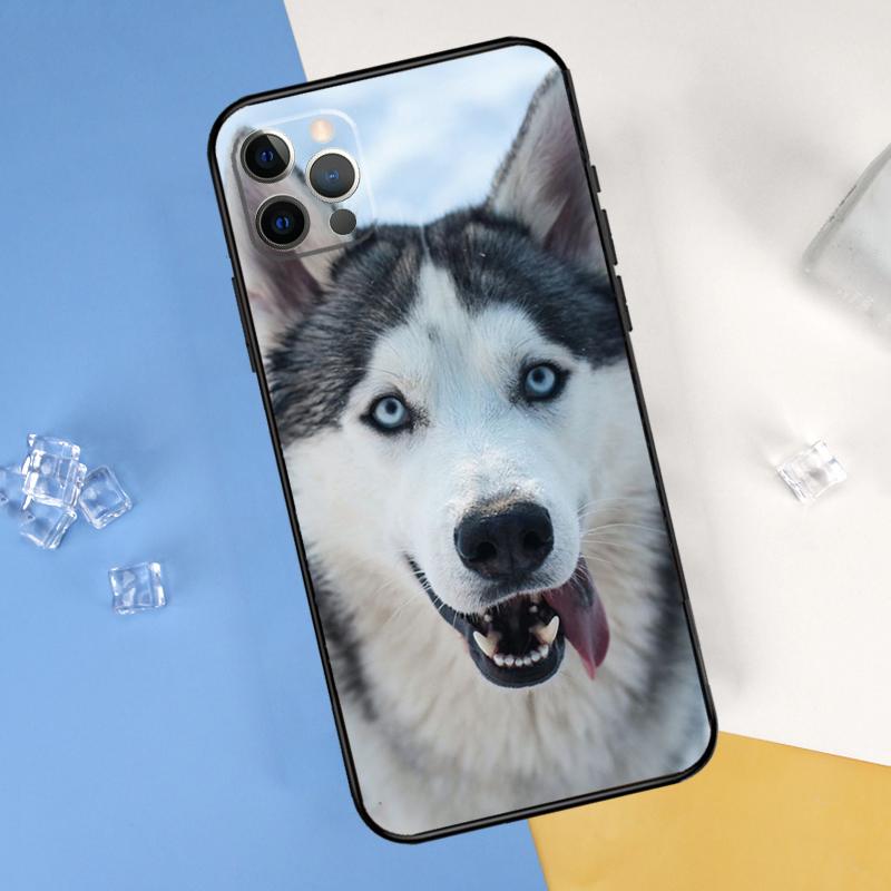 Siberian Husky Sled Dog Phone Case For iPhone 16 Pro Max 12 13 Mini 11 14 15 Pro Max XR 16 15 Plus 16e Cover Shell