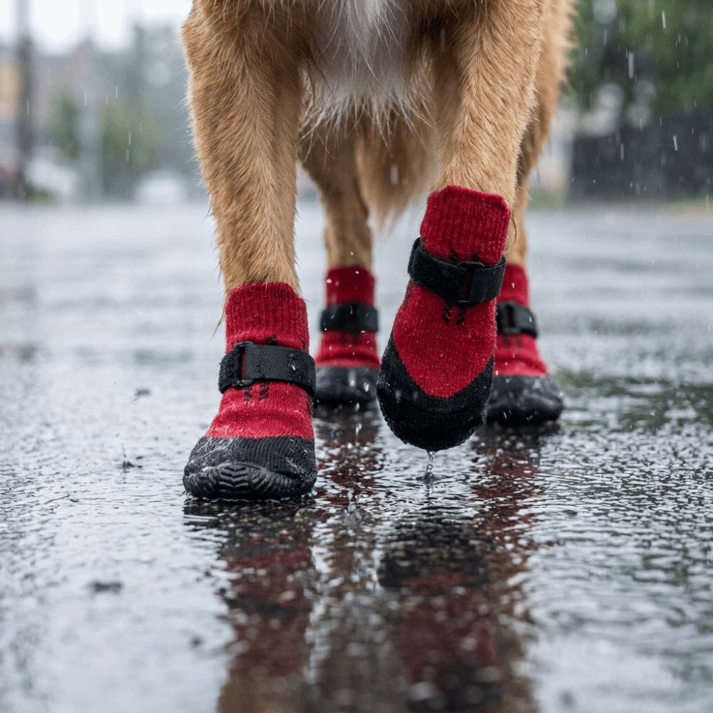 4PCS Wear Resistant Waterproof Dog Socks Shoes Dirt-Resistant Dog Paw Protector  Home
