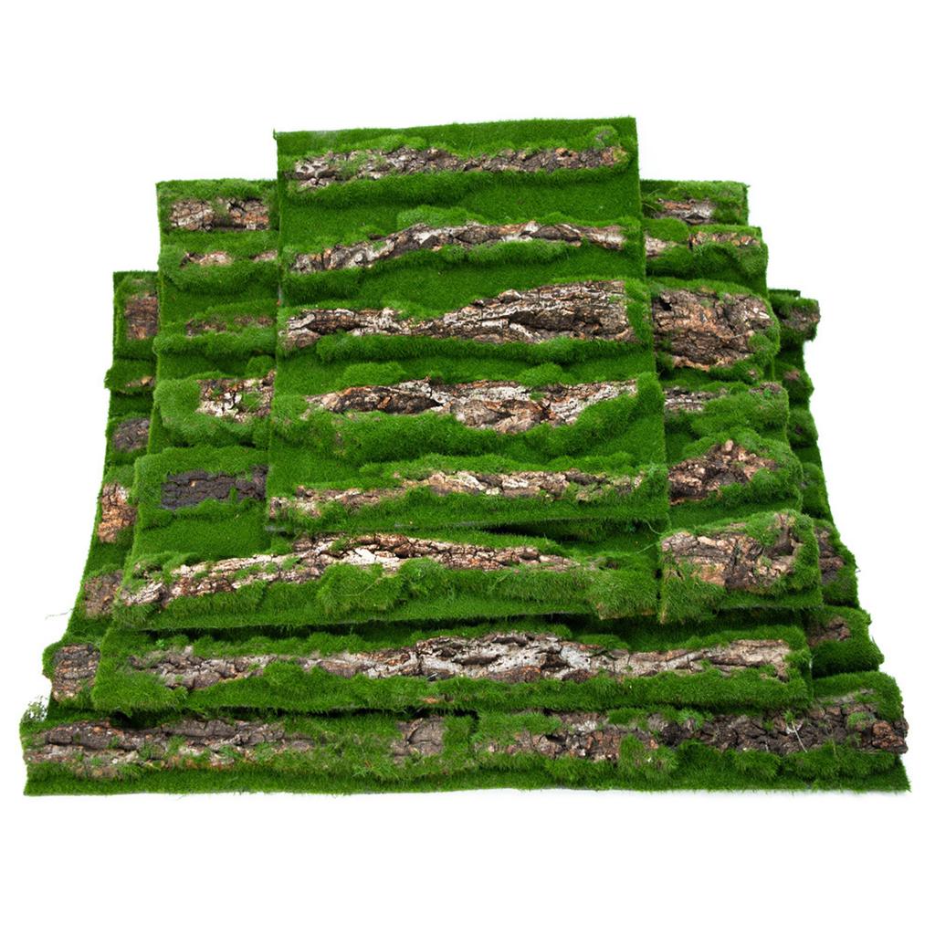 Natural Bark Moss Backdrop Board for Terrariums and Reptile Safe and Mold Resistant Habitats Background for Amphibian