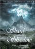 Книга The Shard and the Shadow