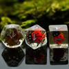 Cusdie Милые Животные Набор Кубиков DnD Из Смолы D4 D6 D8 D10 D% D12 D20 Многогранные Кубики для D&D Pathfinder Настольных Ролевых Игр