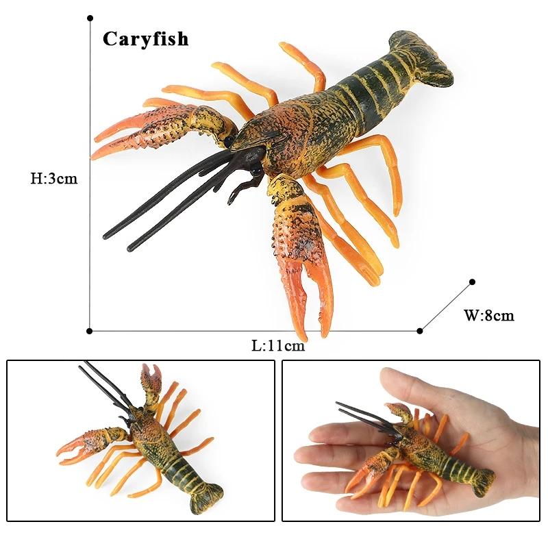 Oenux Морская звезда Океана Морской анемон Коралл Медуза Кальмар Креветка Краб Акула Животные Модель Фигурки ПВХ Миниатюра Детская Игрушка Подарок