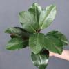 Plants Leaves Artificial Magnolia Leaves Floral Arrangement Faux Magnolia Branch  Wedding