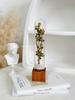 Retro Glass Dome Plant Specimen with Preserved Dried Flowers - Ideal Gift for Graduation, Birthday, Valentine's Day, or Teacher's Day.