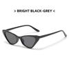 2023 New Cat Eye Small Frame Sunglasses Unisex UV Protection Fashion Trendy Vintage European American Style Outdoor Sun Glasses Shades