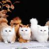New Cute Simulated Cat Persian Cat Black Cat Flower Cat Simulated Animal Cat Simulated Animal Cat