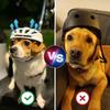 Nylon Strap Pet Helmet Breathable Cat Helmet New Dog Motorcycle Hat  Pet Headwear