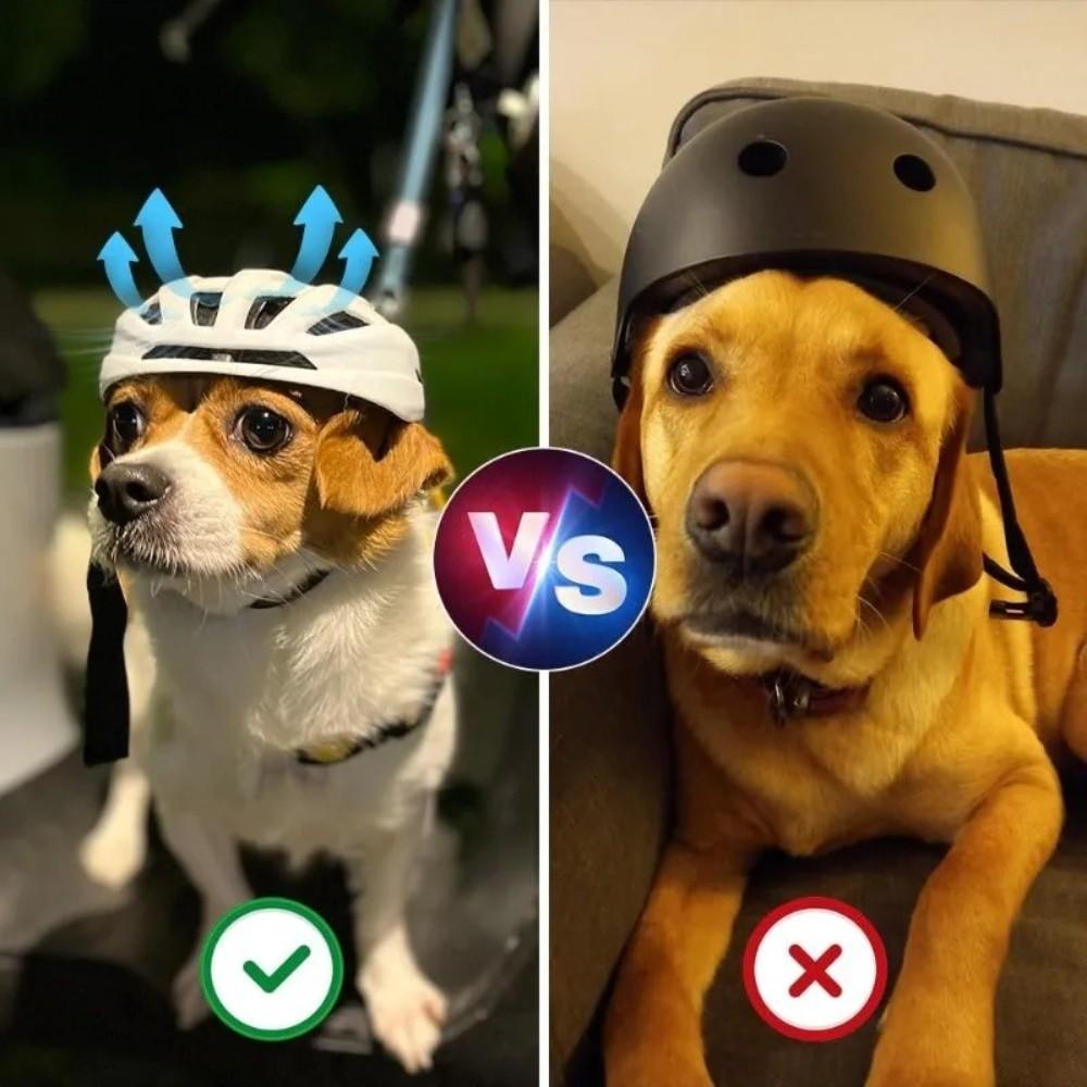 Adjustable Strap Pet Helmet Nylon Strap Dog Motorcycle Hat Fashion Cat Helmet Pet Headwear