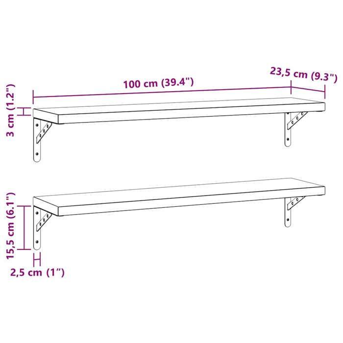 VidaXL Wall Shelves 2 Pcs 100x23.5 Cm Silver Stainless Steel, Floating Shelf, Wall Display Shelf, Panel 3214504