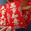 Best Wishes Money Pocket New Year Packet Money Bags Traditional HongBao  New Year Gifts