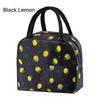 Large Capacity Lunch Bag for Women Small Leakproof Lunch Box Lunch Bag Reusable Insulated Cooler Lunch Container