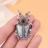 Vintage Niche Beetle Brooch Imitation Abalone Shell Diamond Insect Pin Badge Corsage Jewelry