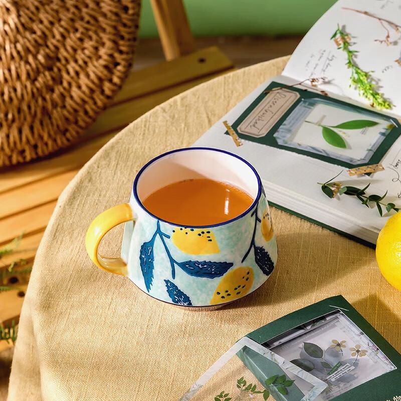 JOYYE Hand-Painted Ceramic Mug