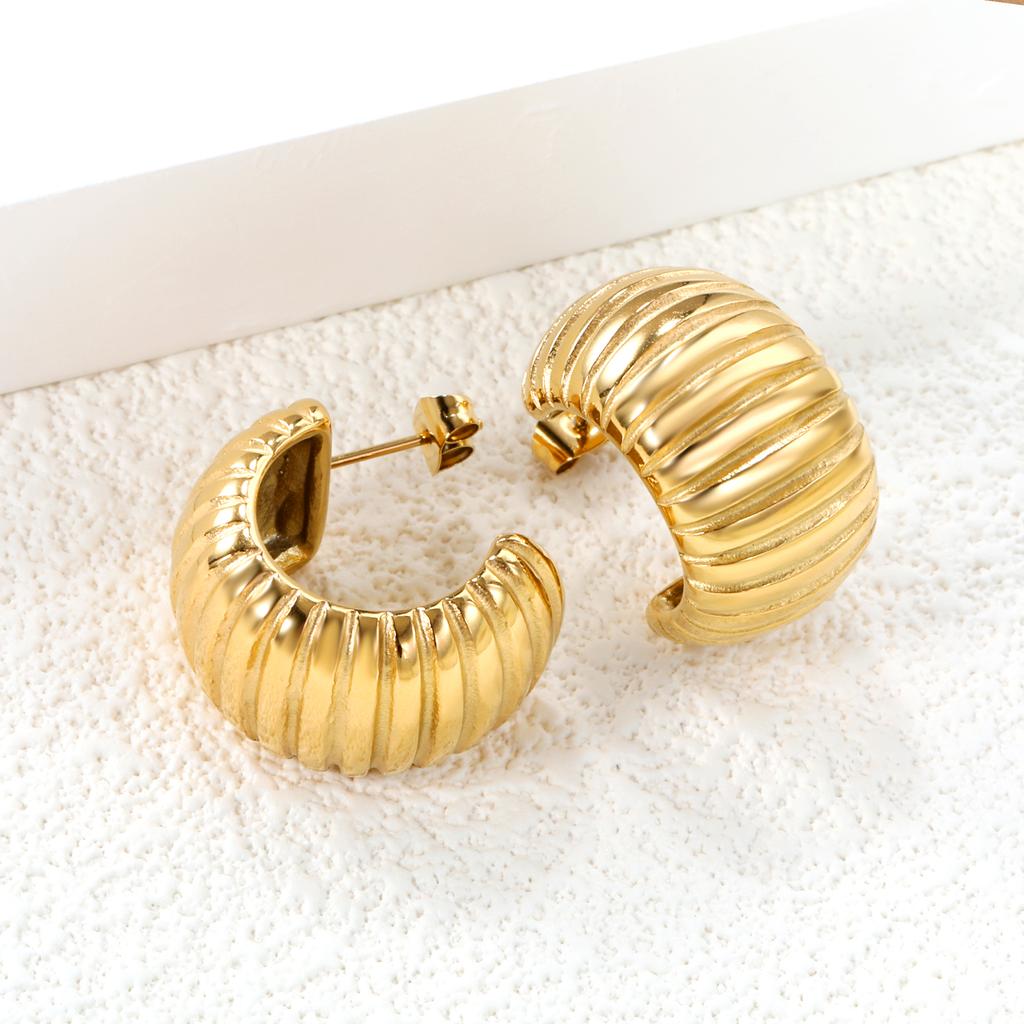 Irregular Texture Luxury Earrings, Fashionable Niche Style, Women's Stainless Steel Retro INS Party Jewelry Birthday Gift