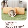 Petio Cat Toy necoco Wood Grain Cat Tunnel with Shaking Sounds Mitsumata