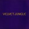 12-дюймовая пластинка VELVET JUNGLE - C'mon C'mon (Я Не Влюблен В Y 6604176 SONY SOHO SQUAR 1994 Европа Танцевальная & Электронная Б/У