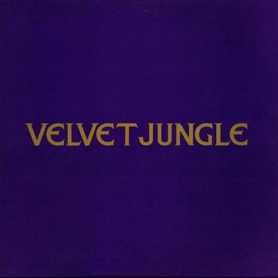 12-дюймовая пластинка VELVET JUNGLE - C'mon C'mon (Я Не Влюблен В Y 6604176 SONY SOHO SQUAR 1994 Европа Танцевальная & Электронная Б/У