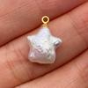 Natural Freshwater Pearl Pendant Irregular Shape Star Circular Heart  Baroque Pearl Charm for DIY Jewelry Accessories
