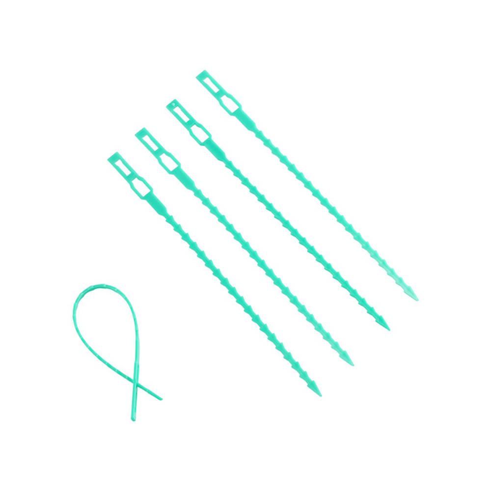 Сопротивление Рост Дерево Лента Пластиковые Садовые Принадлежности Кустарники Крепеж Кабельные Стяжки Поддержка Растений