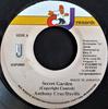 7-дюймовая пластинка ANTHONY CRUZ / DA'VILLE - Secret Garden NONE CJ Records 2002 Ямайка Регги, Ска и Даб Б/У