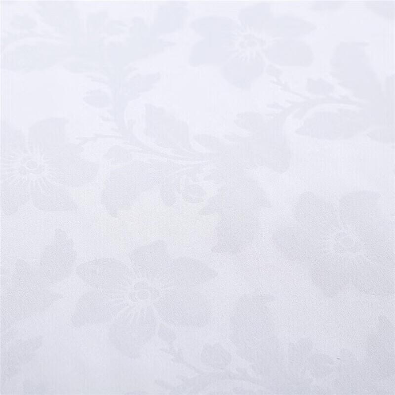 Fuanna Zhenya Antibacterial Winter Duvet Insert