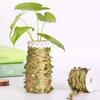 Best-Selling Green Leaf Vine Decoration and Hemp Rope for DIY Projects