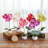 1Pc Potted Artificial Butterfly Orchid Flower Stage Garden Wedding Party Decor