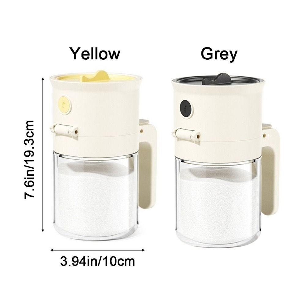 Quantitative Control 2 In 1 Salt Container 0.5g Glass Seasoning Box for Sugar Salt