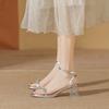 Coarse-heeled Sandals Women's Summer New French Medium-heeled Rhinestone High-end Silver Word with Beautiful High Heels