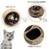 Didabotak Cat Tunnel Cat Toy Rabbit Tunnel со складными 2 прочными и долговечными деталями, изготовленными из соло, избавит от нехватки домашних животных для игр в помещении и на улице и
