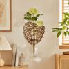 Vase Hydroponic Plant Holder Home Ornaments Flower Pot Wall Hanging Planter Shelf  Wall Mount