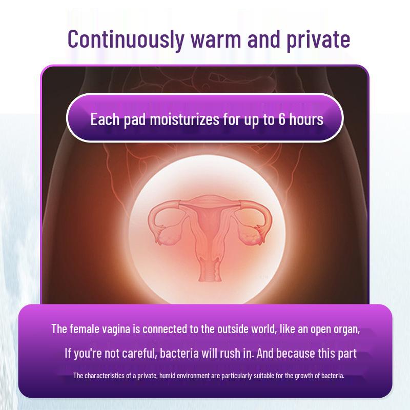 Shu Nai Mei Роскошный набор согревающих прокладок с экстрактом снежного лотоса - 12 штук