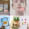 Filling Materials Jewelry Making Resin Filler Beauty Decal Resin Mold Filling Flower Dried Flowers