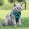 Новый поводок для питомца, светоотражающий и дышащий, жилет-шлейка для собаки