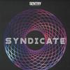 12inch Record VARIOUS - Syndicate (12" X 2) SENLP001 Sentry 2019 UK Dance & Electronica