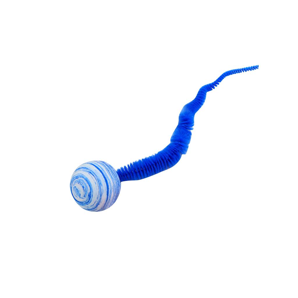 Разноцветный шар-звезда, Пустой шар с хвостом, Зоотовары в виде гусеницы, Шар для шлифовки и катания