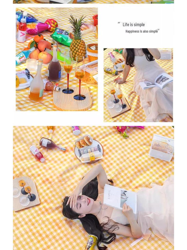 Thick Waterproof Outdoor Picnic Mat – Portable, Moisture-Proof, Foldable Camping Cushion