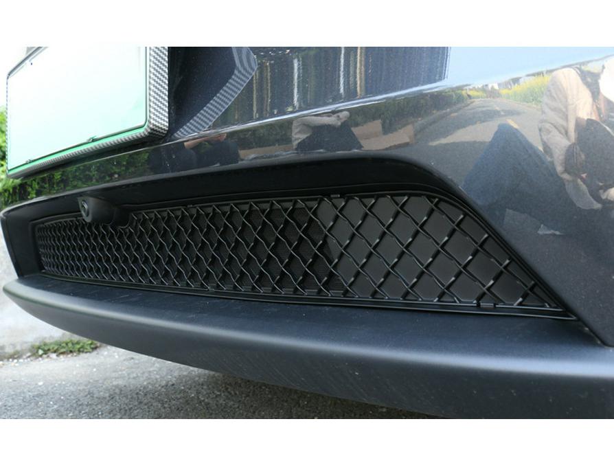 Tesla Model Y Insect Screen: Removable Air Intake Guard for 2025 Models