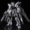 RG Strike Freedom Gundam Деактивированный режим Пластиковая модель Bandai 1/144 ZGMF-X20A (Премиум Эксклюзив)
