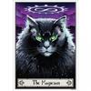 The Magician Felis Poster