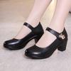 Plus Size 34-43  Block Heels Platform Shoes Women Pumps 2021 Black White Heels Mary Jane Shoes Ladies Wedding Shoes Bride