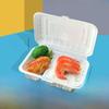 Plastic Disposable Lunch Box with Compartments - 3, 4 Grid Options for Takeaway, Bento, or Fast Food | Free Shipping