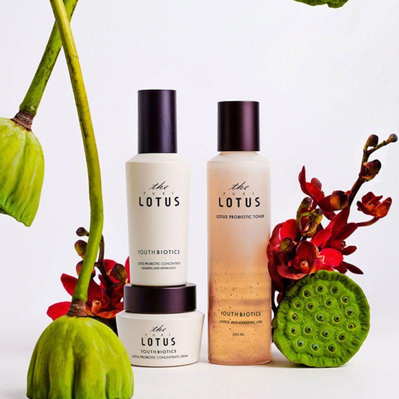 THEPURELOTUS Набор для молодости с биотиками и ферментированным лотосом: Тонер + Концентрат + Крем 200 мл + 80 мл + 50 мл