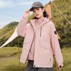 Женская куртка осень-зима с капюшоном, многофункциональная, утепленная, съемная, верхняя одежда, утепленный воротник-стойка, теплая короткая куртка, пальто