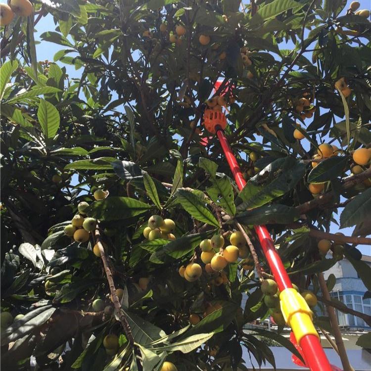 Инструмент для сбора фруктов, теплица, пластиковый сборщик фруктов, ловушка для фермы, сада, устройство для сбора фруктов, садовые теплицы, инструмент без ручки